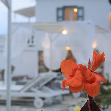 Villa Karavos Waterfront Skopelos